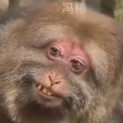 nonethelessmc's profile picture. music nerd flow spitter sports fanatic sober