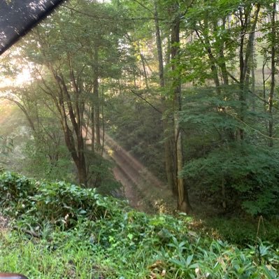 ◾️Inspire from the NORTH◾️ 北の大地北海道より、クワガタ採集の様子やブリード活動を発信。 ミヤマやオオクワガタをメインで採集しています。ブリードはちらほら。