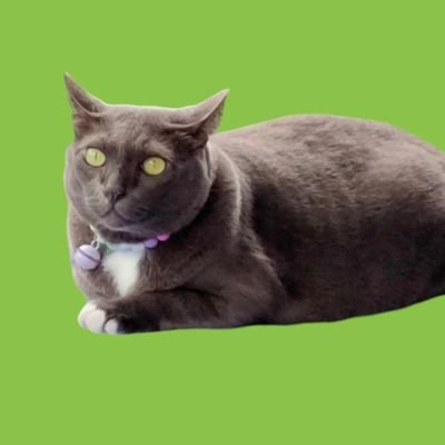 adisornwichian1's profile picture. 