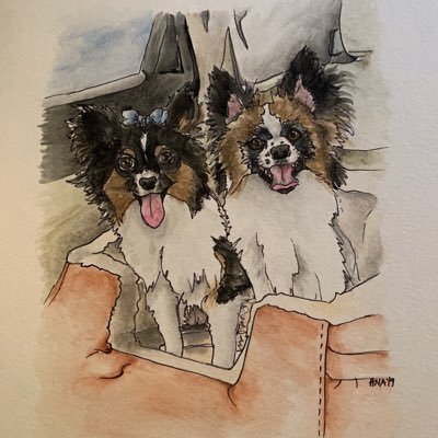 SunnieEwing's profile picture. 