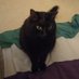 Pip McJock (@pipmcterf) Twitter profile photo Pip McJock (@pipmcterf) Twitter profile photo
