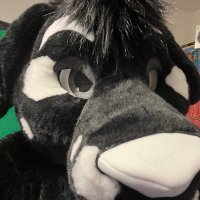 Dusk Dalmatian (@whitespotteddal) 's Twitter Profile