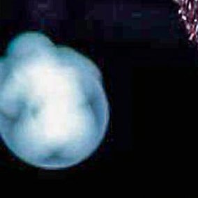 Dreadzyy's profile picture. Follow