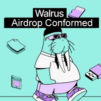 Rohini (@rohini6t) 's Twitter Profile