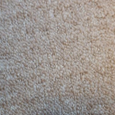 yegods55's profile picture. 