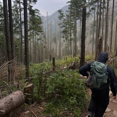 marcelelechowsk's profile picture. 