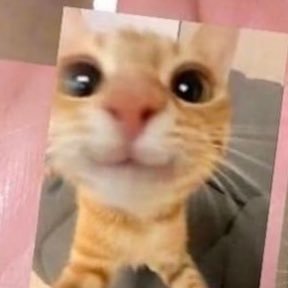 Jeowhy22's profile picture. 