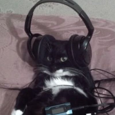 1rari_'s profile picture. he/him
likely admiring the silly, funny art that people here make