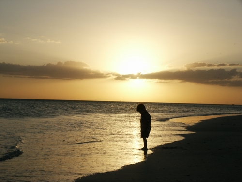 jbucarion's profile picture. 