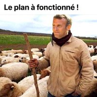 il nous a demandé d'aller le chercher et ? (@chrysalide21000) 's Twitter Profile