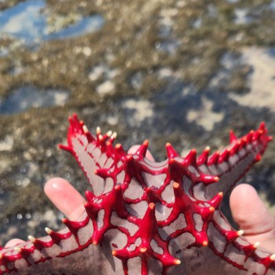 R6NG8o9CdP2K9kh's profile picture. 