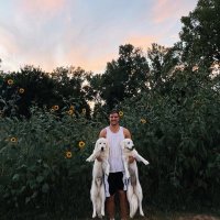 Jordan Barry (@cryptagobulls) 's Twitter Profile Photo Jordan Barry (@cryptagobulls) 's Twitter Profile Photo