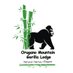 Orugano Bwindi (@oruganolodge) Twitter profile photo Orugano Bwindi (@oruganolodge) Twitter profile photo
