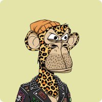 Willy ₿ullish 🍌 (@willythedegen) 's Twitter Profile