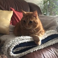 Juan Sin Tierras (@juansin333) 's Twitter Profile Photo Juan Sin Tierras (@juansin333) 's Twitter Profile Photo
