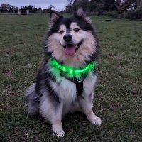 Ebony Baker (@kealeighb) 's Twitter Profile