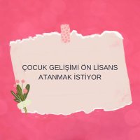 Cahide Seyitoglu (@cahidesey) 's Twitter Profile