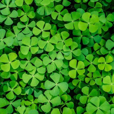 2023Staj's profile picture. Kiracı/evsahibi herkesin iyisi ve kötüsü var. Genelleme yanlış