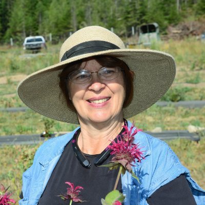 Market farmer in North Idaho, providing local, no-till, fresh food and education to our communities, thru CSA's and Farmers Market. Located in Careywood, Idaho.