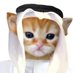 Habibi (@habibixyz_sol) Twitter profile photo Habibi (@habibixyz_sol) Twitter profile photo