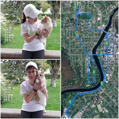 susanelizabet28's profile picture. Love theatre, animals, chocolate. Vegetarian. Not a runner but can walk a marathon.