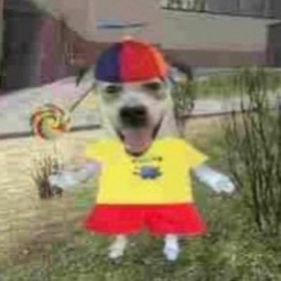 dawg3i_'s profile picture. i post on the occasion