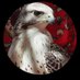 الفهد (@alfhd673) Twitter profile photo الفهد (@alfhd673) Twitter profile photo