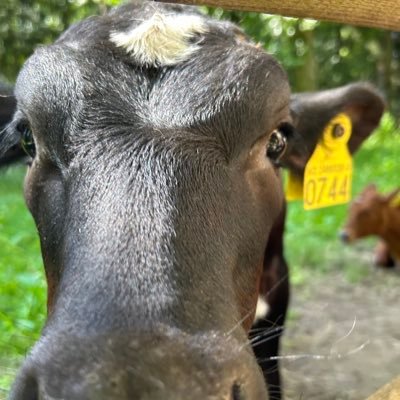 Crypto enthusiast