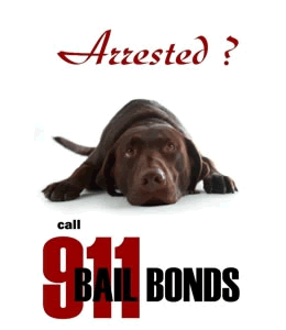 911 Bail Bonds Las Vegas is a reliable bail bonds company that you trust! We can help with any type of bail bonds in Las Vegas Nevada! http://t.co/7o10yLeuXc