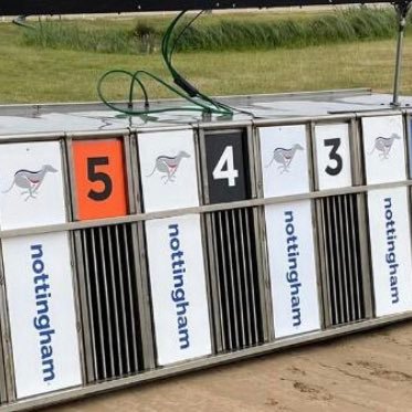 Providing greyhound tips in our private group (new members welcome) + REGULAR CASH GIVEAWAYS///// 13/13 profitable months to date///// joining link below