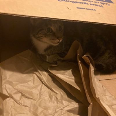 emeraldunikitty's profile picture. 