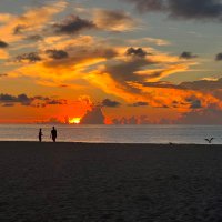 Eissa (@eissaba) 's Twitter Profile