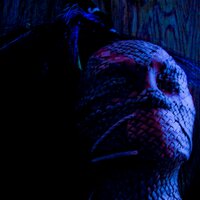 enigma arcana (@enigmaarcana) 's Twitter Profile