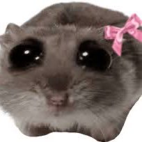 official_adlm's profile picture. out here