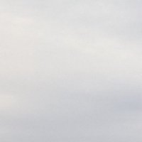 WideBody (@teamwidebody) 's Twitter Profile