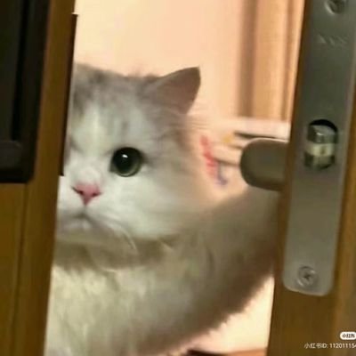 aturraq's profile picture. pppp assalamualaikum