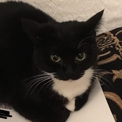 Voyager__404's profile picture. 