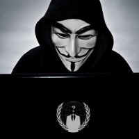 Hacker Liam (@hackerliam01) 's Twitter Profile