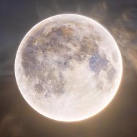 ✨Maximilian Violet Pepper-Dragon🌶️ 🐉✨ (@succubiwizard) 's Twitter Profile