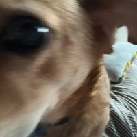 zeek (@norimakiqw3837) 's Twitter Profile