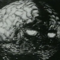 BRUJO (@brujodelatele) 's Twitter Profile