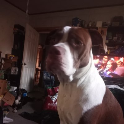 Charles74228808's profile picture. single father of 4 children and 2 dogs. veteran