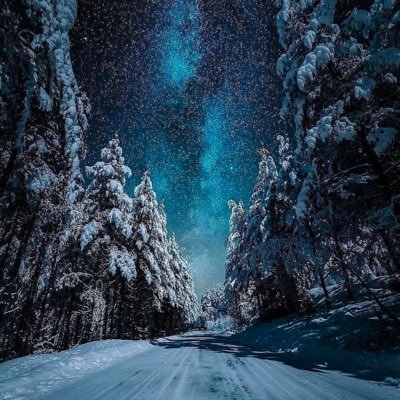 amazonbum's profile picture. 