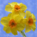 Cherry Bailey - @CherryBailey2 - Twitter