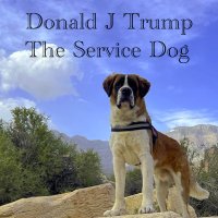 Donald J Trump The Service Dog (@donnie4veterans) 's Twitter Profile