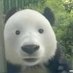 Sofiiisss (@noentiendomates) Twitter profile photo Sofiiisss (@noentiendomates) Twitter profile photo