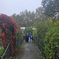 Mehmet Ozcelik (@zclk06) Twitter profile photo