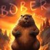 $BOBER (@bober_inu) Twitter profile photo $BOBER (@bober_inu) Twitter profile photo