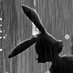 Sugar Rabbit (@rabbit_sugar) Twitter profile photo Sugar Rabbit (@rabbit_sugar) Twitter profile photo