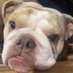 Arthursimpson (@arthurs74679468) Twitter profile photo Arthursimpson (@arthurs74679468) Twitter profile photo